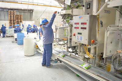 BRINDAN CONFERENCIA A LÍDERES SINDICALES SOBRE MEDIDAS PARA UN RETORNO SEGURO A LAS ACTIVIDADES LABORALES