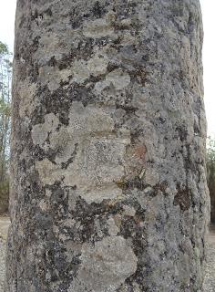 Imagen del mes: Menhir del Cabezo, en las cercanías de Alcántara Imagen del mes: Menhir del Cabezo, en las cercanías de Alcántara