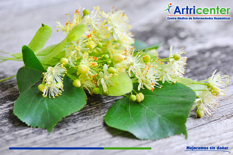 Cómo elaborar la leche de alpiste