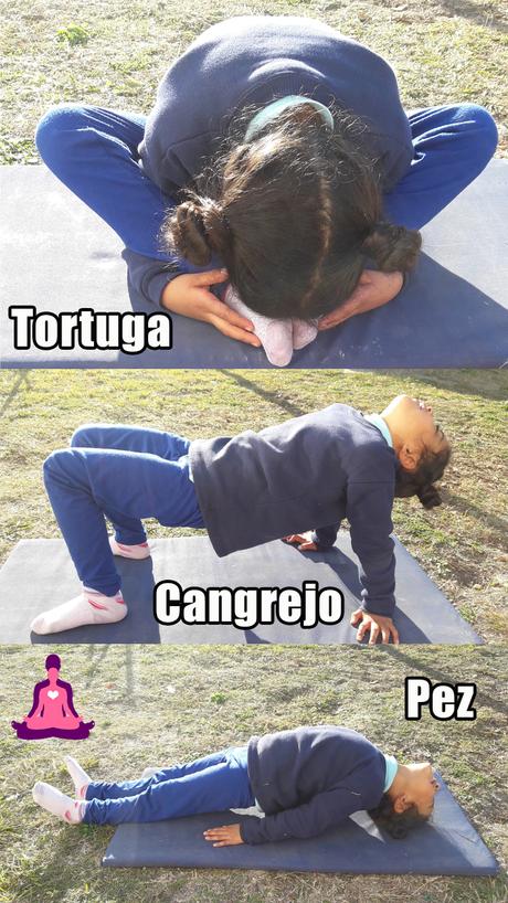 yoga respiración y concentración