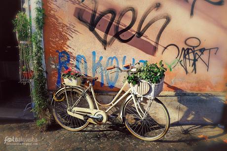 Una bicicleta con arte - Fotografía