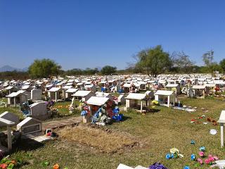 No les interesa su salud, ni morir