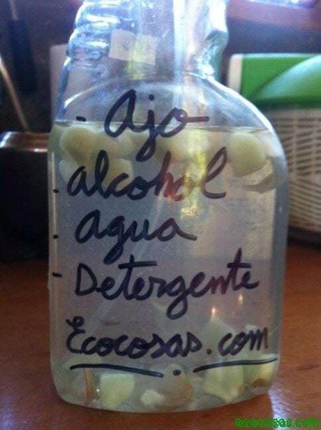 insecticida para plantas