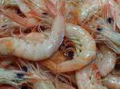 Receta ensaladilla gambas