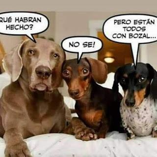 Marcelino Orbés: “El mejor payaso del mundo”… El manifiesto en pro de la cultura como identidad de Europa y el homenaje de Estado a las víctimas del coronavirus.