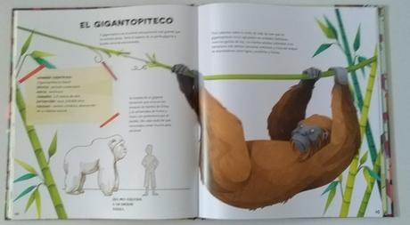 “El fascinante libro de los animales extinguidos”, texto de Cristina Banfi e ilustraciones de Rossella Trionfetti