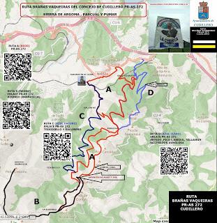 XI RUTA BRAÑAS VAQUEIRAS (Mercau vaqueiru)