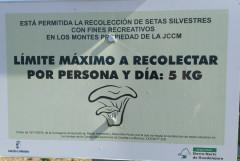 ¿De que estación son estas fotos?