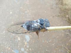 ¿De que estación son estas fotos?