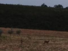 ¿De que estación son estas fotos?
