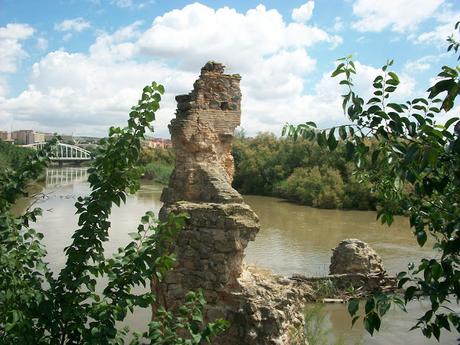 Las Norias que regaban las vegas del Tajo: Un patrimonio olvidado (I)