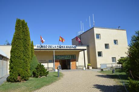 Visita al Museo de la Fauna Salvaje de Vadehuesa