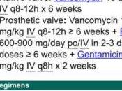 Endocarditis s.aureus