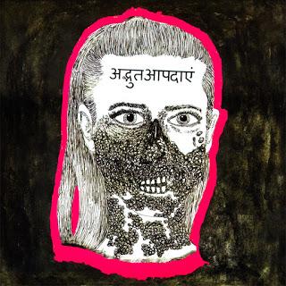 The Terrorist Collective - Wonderful Disasters (2018)