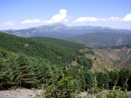 Lo peculiar de Semillas…