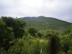 Lo peculiar de Semillas…