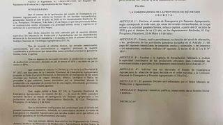 El Gobierno de Río Negro declarará la Emergencia Agropecuaria por las intensas nevadas