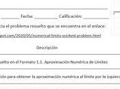 Actividad 1.1. Aproximación Numérica Límites