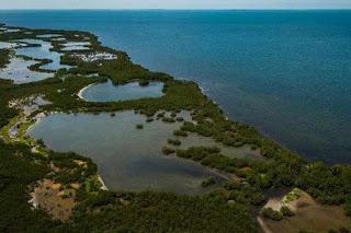 Cuba ¿el modelo no funciona?