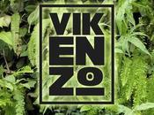 Jardines verticales: beneficios, inspiración VIKENZO NATURE