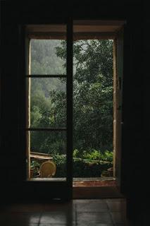 4.255 - FRAGMENTO DE UN DIARIO - DÍA 27