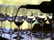 Hablemos vinos: diferencia entre Merlot Cabernet Sauvignon
