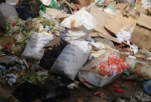 Mirando a una isla a través de su única ventana