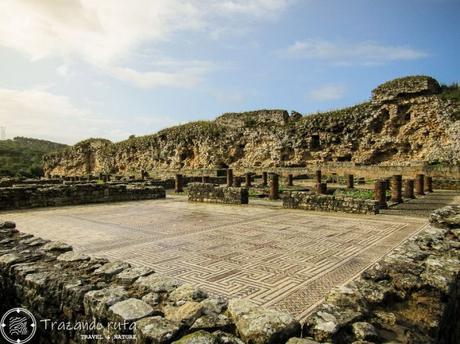 Conímbriga, ruinas romanas en Portugal casa esvástica conimbriga