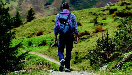 Etapas del camino de Santiago en Navarra. ¿Las conoces?