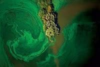 Enlaces de la semana (27/11)