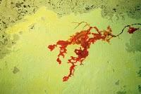 Enlaces de la semana (27/11)