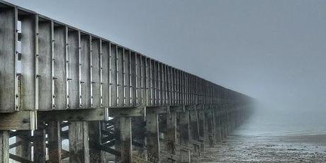 Enlaces de la semana (27/11)