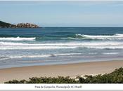 Hasta siempre Floripa