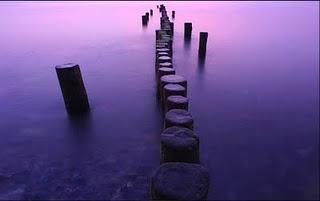 Primeros episodios, ingresos, familia y ¿después, qué?