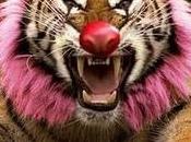 CONIL, Ciudad libre Circos Animales