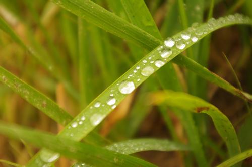 Lorena del Río: “Yo quiero ser capaz de hacer esas fotos”