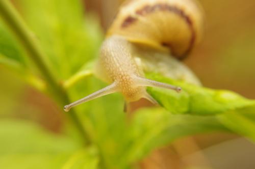 Lorena del Río: “Yo quiero ser capaz de hacer esas fotos”