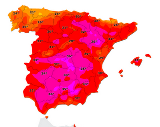 La bicoca winner de julio.
