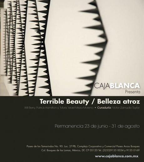 Exposición Belleza atroz en la Galería Caja Blanca