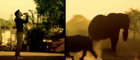 WWF: The World is Where We Live