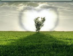 En El Silencio De Tu Alma