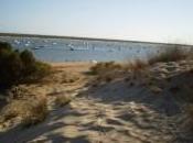 Marismas Piedras Flecha Rompido