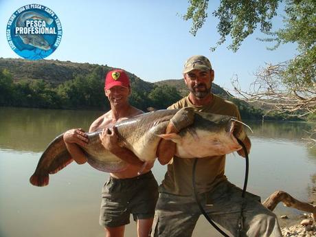 GUIAS DE PESCA DEL SILURO