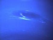 Neptuno completa primera órbita desde fuera descubierto