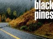 Black Pines Walk Rain (2011)