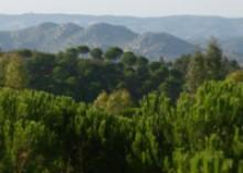 Paraje Natural Peñas de Aroche