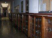 CEHIPAR (estado obras)