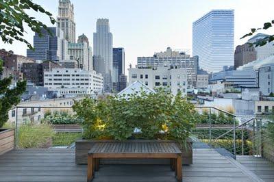 JARDINES RUSTICOS EN TECHOS DE NUEVA YORK