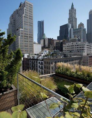 JARDINES RUSTICOS EN TECHOS DE NUEVA YORK