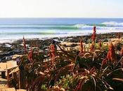 Billabong J-Bay 2011